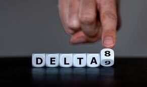 The Beginner's Guide to Understanding Delta-8 THC and Its Wellness Benefits